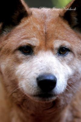 245ef] #D.o.w.n.l.o.a.d# Dingo June Notebook Dingo Record, Log, Diary, Special Memories, To Do List, Academic Notepad, Scrapbook & More - Dingo World ~ePub%