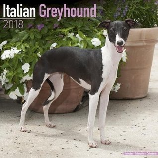 de9db] *D.o.w.n.l.o.a.d# Italian Greyhound Calendar - Dog Breed Calendars - 2017 - 2018 wall Calendars - 16 Month by Avonside -  @PDF~