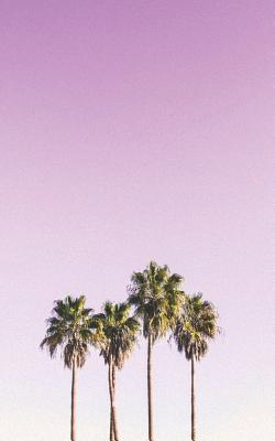 [b7883] ~Read@ !Online! Notes: Lined Notebook 120 Pages, 60 Sheets (5 X 8 Inches) Ruled Writing Journal with a Beautiful View of Palm Trees on the Beach Against a Pink Sunset Cover -  ~PDF*
