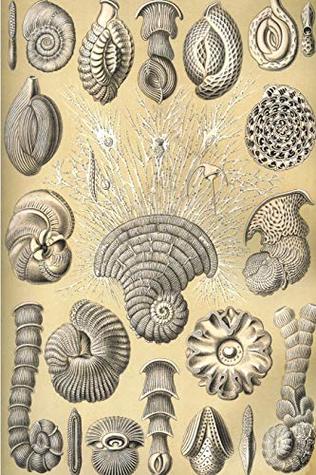 [30a13] %F.u.l.l.# ~D.o.w.n.l.o.a.d! Haeckel scientific biological art notebook: Vintage Science Illustrations N°12 from Kunstformen der Nature / Art forms in nature ; composition journal with 120 pages of blank dot grit paper - Brians Pd Art #ePub*