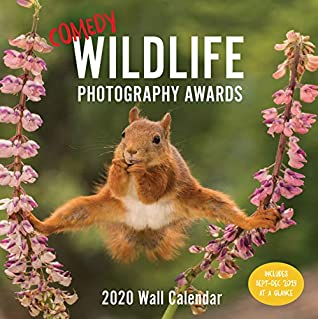 [7f8e1] @Download% Comedy Wildlife 2020 Wall Calendar: (Funny 2020 Wall Calendar, Funny Wall Calendar with Animals, Photo Wall Calendar) - Nicola Ries Taggart @ePub*